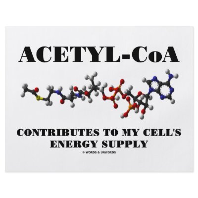 Acetyl-CoA Contributes To My Cell's Energy Supply by wordsunwords