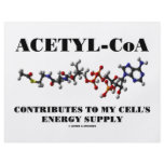 Acetyl-CoA Contributes To My Cell's Energy Supply flyers