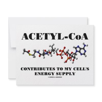 Acetyl-CoA Contributes To My Cell's Energy Supply by wordsunwords
