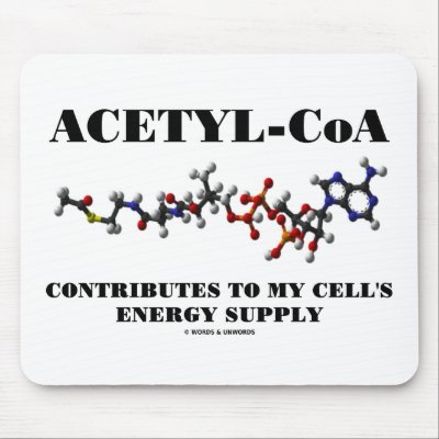 Acetyl-CoA Contributes To My Cell's Energy Supply by wordsunwords