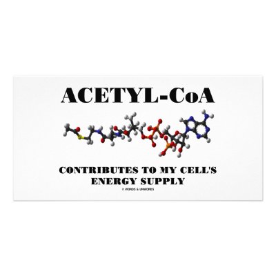 Acetyl-CoA Contributes To My Cell's Energy Supply by wordsunwords