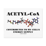 Acetyl-CoA Contributes To My Cell's Energy Supply