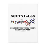 Acetyl-CoA Contributes To My Cell's Energy Supply
