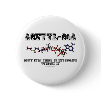Acetyl-CoA Don't Even Think Of Metabolism Without by wordsunwords