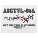Acetyl-CoA Don't Even Think Of Metabolism Without flyers