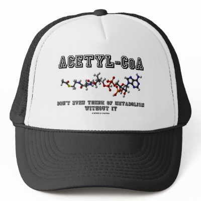 Acetyl-CoA Don't Even Think Of Metabolism Without by wordsunwords