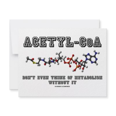 Acetyl-CoA Don't Even Think Of Metabolism Without by wordsunwords