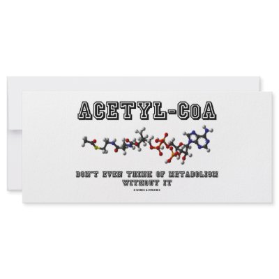 Acetyl-CoA Don't Even Think Of Metabolism Without by wordsunwords