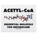 Acetyl-CoA Essential Molecule For Metabolism Full Color Flyer