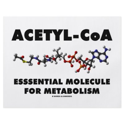Acetyl-CoA Essential Molecule For Metabolism by wordsunwords