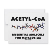 Acetyl-CoA Essential Molecule For Metabolism