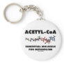 Acetyl-CoA Essential Molecule For Metabolism