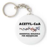 Acetyl-CoA Essential Molecule For Metabolism
