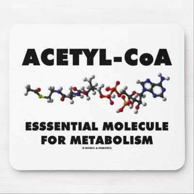 Acetyl-CoA Essential Molecule For Metabolism by wordsunwords