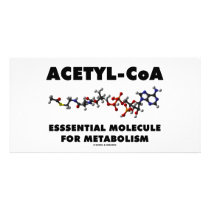 Acetyl-CoA Essential Molecule For Metabolism
