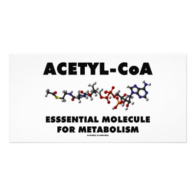 Coa Molecule