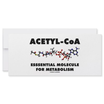 Acetyl-CoA Essential Molecule For Metabolism by wordsunwords