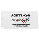 Acetyl-CoA Essential Molecule For Metabolism rack cards