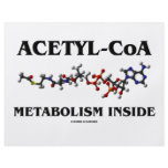 Acetyl-CoA Metabolism Inside (Chemical Molecule) Flyer Design