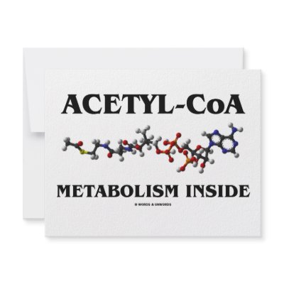 Acetyl-CoA Metabolism Inside (Chemical Molecule) by wordsunwords