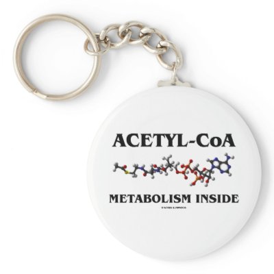 Acetyl-CoA Metabolism Inside (Chemical Molecule) by wordsunwords