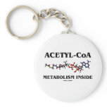 Acetyl-CoA Metabolism Inside (Chemical Molecule)