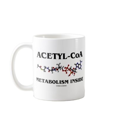 Acetyl-CoA Metabolism Inside (Chemical Molecule) Coffee Mug by wordsunwords