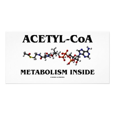 Acetyl-CoA Metabolism Inside (Chemical Molecule) by wordsunwords