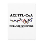 Acetyl-CoA Metabolism Inside (Chemical Molecule)