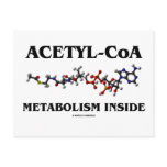 Acetyl-CoA Metabolism Inside (Chemical Molecule)