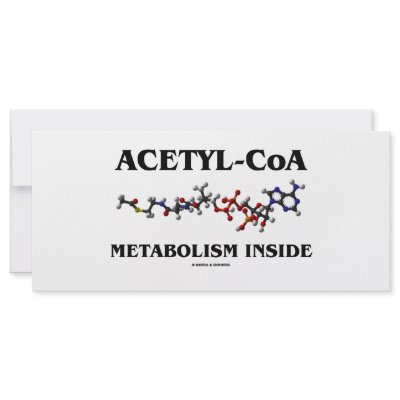 Acetyl-CoA Metabolism Inside (Chemical Molecule) by wordsunwords