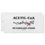 Acetyl-CoA Metabolism Inside (Chemical Molecule) rack cards