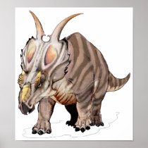 Achelousaurus Poster