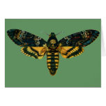 Acherontia atropos