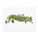 Acherontia atropos caterpillar post cards