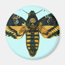 Acherontia atropos magnets