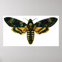 Acherontia atropos print