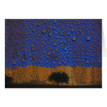 Acid rain & environmental pollution card