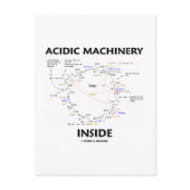Acidic Machinery Inside (Krebs Citric Acid Cycle)