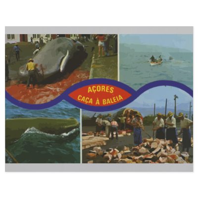 Acores Caca A Baleia, Vintage Flyer by TravelTime