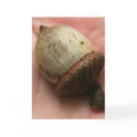 ACORN cards