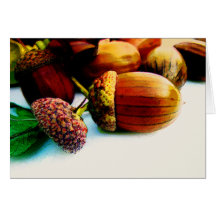 Acorn Cards