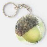 Acorn Key Chain