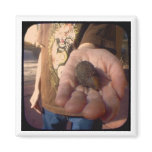 acorn? refrigerator magnets