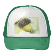 Acorn Mesh Hats