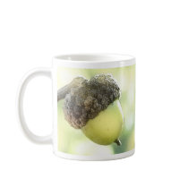 Acorn Mugs