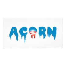 ACORN PHOTO CARDS
