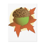 acorn post card