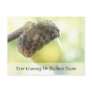 Acorn Postcard
