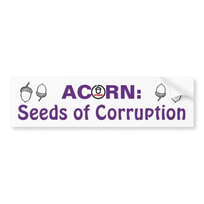 Acorn: Seeds of Corruption Bumper Sticker by LibertyJane